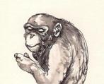 Jean Dulieu - Studie van een Chimpansee in Burgers