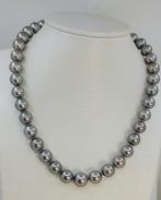 Halsketting ALGT Gecertificeerde Metallic Tahiti Parels -, Nieuw