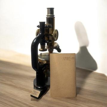 Monocular compound microscope - C. Reichert Wien No. 50593 – beschikbaar voor biedingen