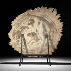 C - Prachtige plak versteend hout op een op maat gemaakte