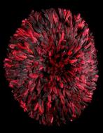 JUJU Hut - Bamileke - Kameroen, Antiek en Kunst