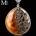 Jurassic sieraden - Zeldzame Siberische ammoniet -