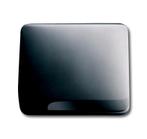 ABB Busch-Jaeger Central Plate With Cover For 50x50mm, Verzenden