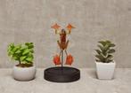 Kikker Taxidermie volledige montage - Rhacophorus pardalis -