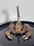 Rob VanMore - Iron Scorpion