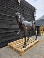 Beeld, XL Bronze Horse - 104 cm - Brons - 2025, Antiek en Kunst