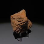 Inde, Sar Dheri, Peshawar Terre cuite Fragment de figure.