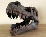 Beeldje - T-rex dinosaurus schedel - Hars