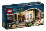 LEGO Harry Potter Zweinstein, Wisseldrank Vergissing (76386)