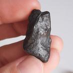 NWA 13518. R chondriet-meteoriet. Zeldzame soort. Zichtbare, Verzamelen