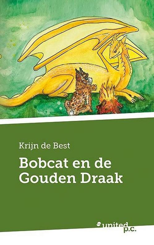 Bobcat en de gouden draak 9783710343483, Livres, Livres Autre, Envoi
