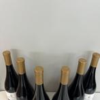 2023 Pacheca VV - Douro Reserva - 6 Fles (0,75 liter), Nieuw