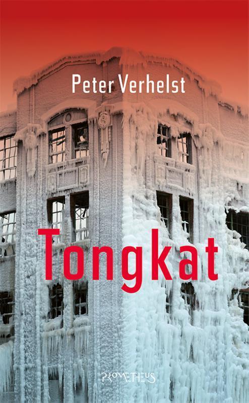 Tongkat 9789044636505 Peter Verhelst, Boeken, Romans, Zo goed als nieuw, Verzenden