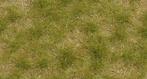 Busch - Grasbuschel Zweifarbig Kurz Spatsommer 4 Mm - BU3533, Verzenden
