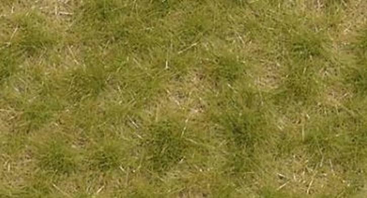 Busch - Grasbuschel Zweifarbig Kurz Spatsommer 4 Mm - BU3533, Hobby en Vrije tijd, Modelbouw | Overige, Verzenden