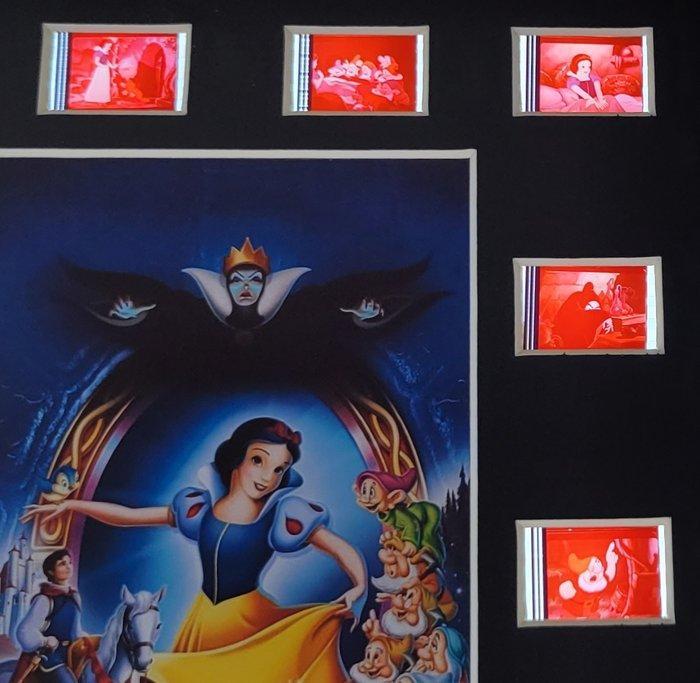 Snow White & The Seven Dwarfs - Framed Film Cell Display, Verzamelen, Disney
