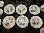 Villeroy & Boch - Service de table pour 6 (14) - Botanique -, Antiek en Kunst