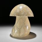 Geen minimumprijs - Prachtige Gele Maligano Jaspis