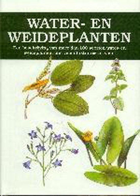 Water- en Weideplanten 9789058410498 V. Vetvicka, Boeken, Hobby en Vrije tijd, Zo goed als nieuw, Verzenden