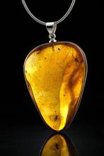Barnsteen - Museum Grade Baltic Amber Necklace - SPIDER -, Antiek en Kunst