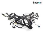 Kabelboom Kawasaki KLE 650 Versys 2015-2016 (KLE650, Motoren, Onderdelen | Kawasaki, Verzenden, Gebruikt