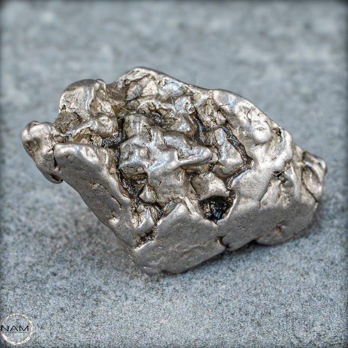 Natuurlijke meteoriet Campo Del Cielo Groot, Argentinië-, Verzamelen, Mineralen en Fossielen