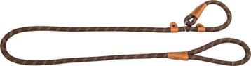 School leash bruin