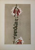 Egon Schiele (1890-1918) (after) - Roter Fingerhut (1910)