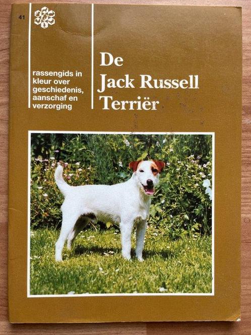 Vnk hondegids de jack russell terrier 9789072313621, Livres, Livres Autre, Envoi