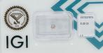 1 pcs Diamant (Couleur naturelle) - 0.20 ct - Rond - Very, Nieuw