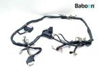 Kabelboom Aprilia SL 1000 Falco 1999-2003 (SL1000), Motoren, Gebruikt