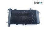 Radiateur Yamaha MT 03 2006-2013 (MT03 MT-03), Motoren, Verzenden, Gebruikt