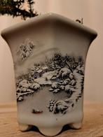 Jeneverbes bonsai (Juniperus) - Hoogte (boom): 13 cm -