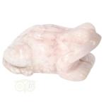 Bloem Agaat kikker nr 21  - 77 gram, Verzenden, Nieuw