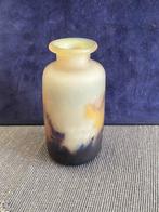 Muller Frères - Bloempot - Glas