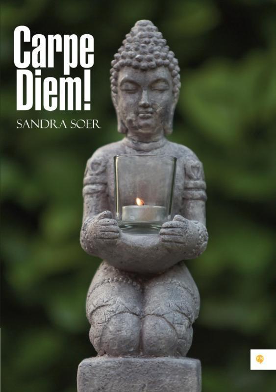 Carpe Diem! 9789048438778 Sandra Soer, Boeken, Gedichten en Poëzie, Gelezen, Verzenden