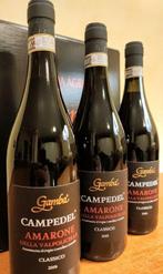 2019 Amarone riserva Campedel Gamba - Valpolicella DOCG - 3, Verzamelen, Nieuw