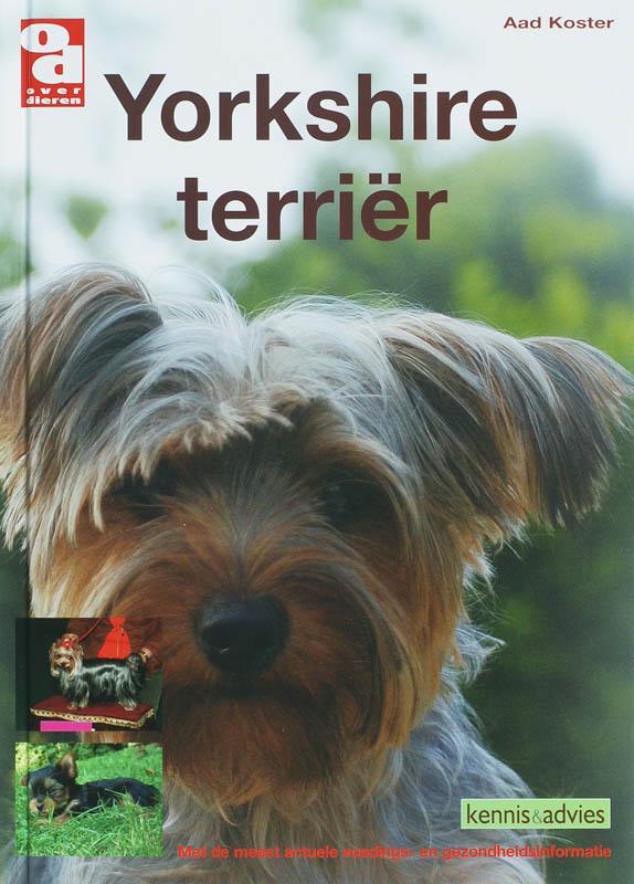 Yorkshire terrier / Over Dieren 9789058216052 A. Koster, Boeken, Hobby en Vrije tijd, Gelezen, Verzenden