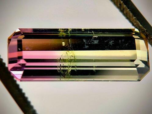 Meerkleurig Toermalijn  - 6.12 ct - International Jewellery, Handtassen en Accessoires, Edelstenen