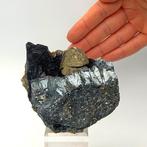 Goudgele octaëdrische pyriet in geode van ematiet, Brosso., Verzamelen