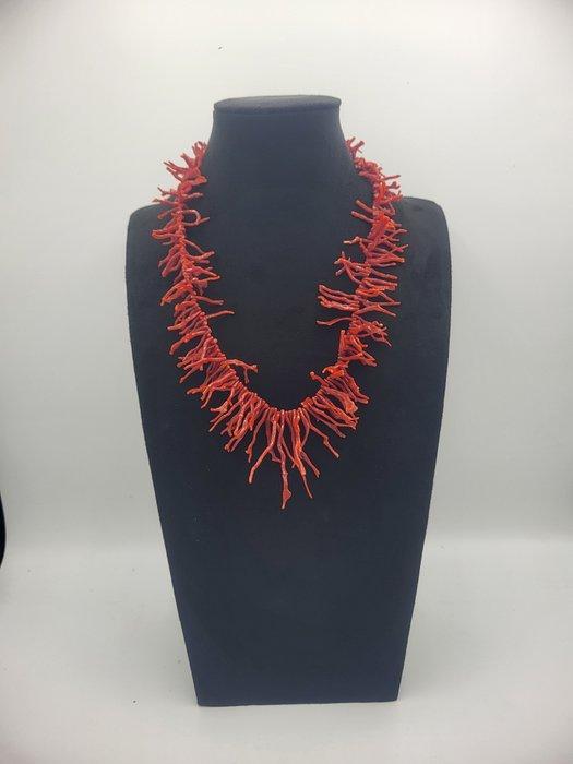 Bloedkoraal Koraal - Corallo Mediterraneo (Zonder, Antiek en Kunst, Curiosa en Brocante