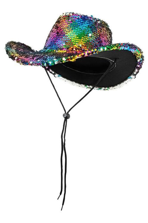 Cowboyhoed Regenboog Zilver Pailletten Pride Gekleurd Cowboy, Kleding | Heren, Carnavalskleding en Feestkleding, Nieuw, Ophalen of Verzenden