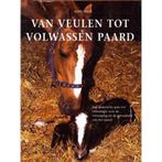 Van veulen tot volwassen paard 9789062488346 J. Lorch, Verzenden, Zo goed als nieuw, J. Lorch