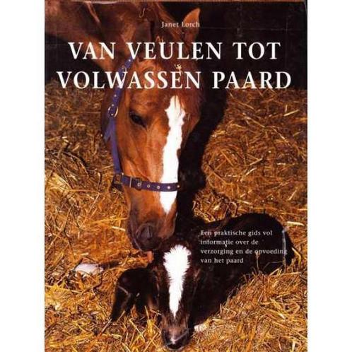 Van veulen tot volwassen paard 9789062488346 J. Lorch, Boeken, Hobby en Vrije tijd, Zo goed als nieuw, Verzenden