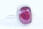 Zonder Minimumprijs - Ring Platina - 5.89ct. tw. Robijn -, Nieuw