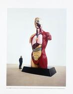 Damien Hirst (1965) - Hymm - Artprint - 35 x 28 cm - Tate, Antiquités & Art