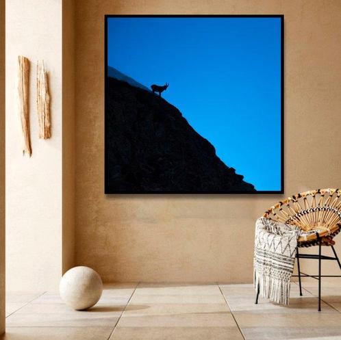 Roberto Cavalli (1971) - Into the wild #726, Antiek en Kunst, Kunst | Schilderijen | Modern