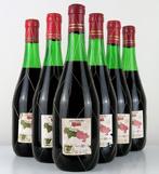 1969 Bodegas Campo Viejo - Rioja Reserva - 6 Flessen (0.75, Verzamelen, Nieuw