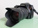 Sony DSLR - 700 & Sigma 28 - 300 / F 3.5 - 6.3 DL Hyperzoom