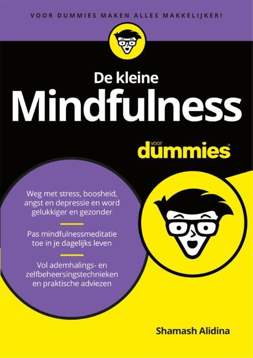 Voor Dummies  -   De kleine mindfulness voor dummies, Livres, Psychologie, Envoi